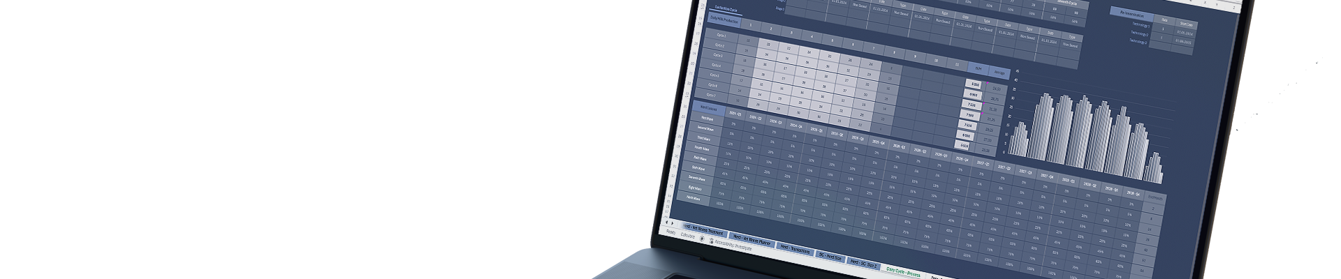 Excel - Advanced Financial Model